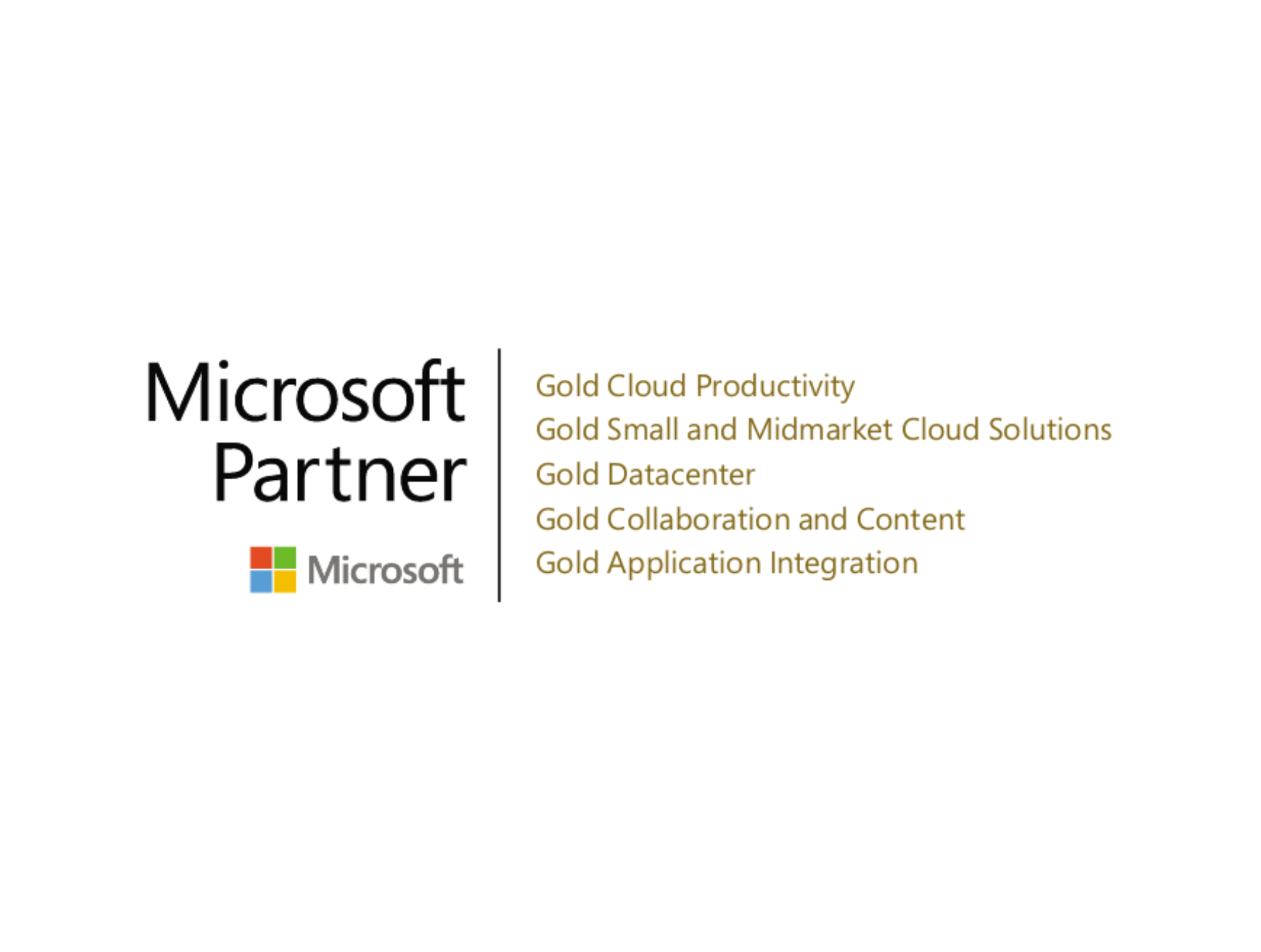 Microsoft Gold Partner Competencies